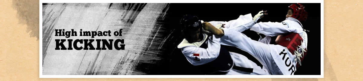 Banner Traditionnel Taekwondo